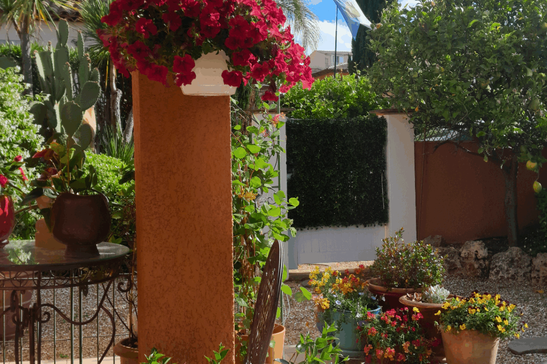 immobilier-saint-tropez.jpg-10