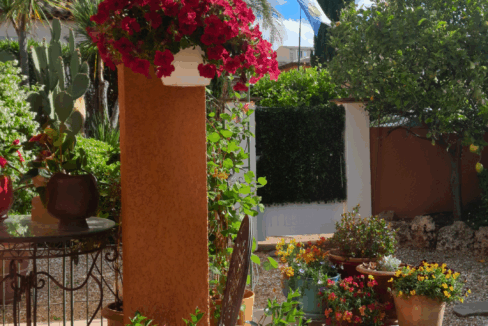 immobilier-saint-tropez.jpg-10