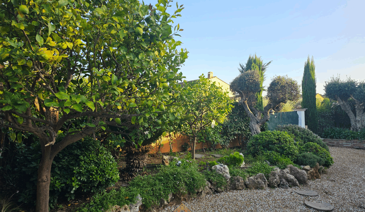 immobilier-saint-tropez.jpg-3