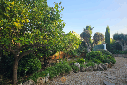 immobilier-saint-tropez.jpg-3
