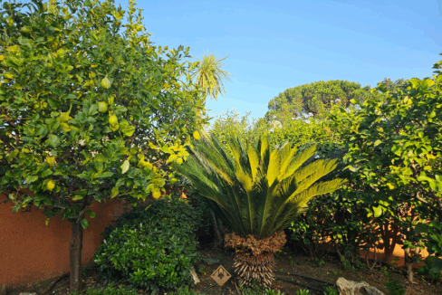 immobilier-saint-tropez.jpg-4