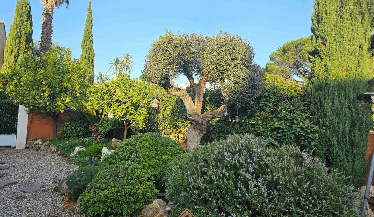 immobilier-saint-tropez.jpg-5