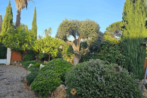 immobilier-saint-tropez.jpg-5