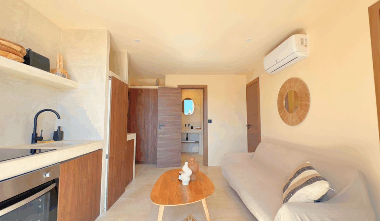 immobilier-saint-tropez.jpg-6