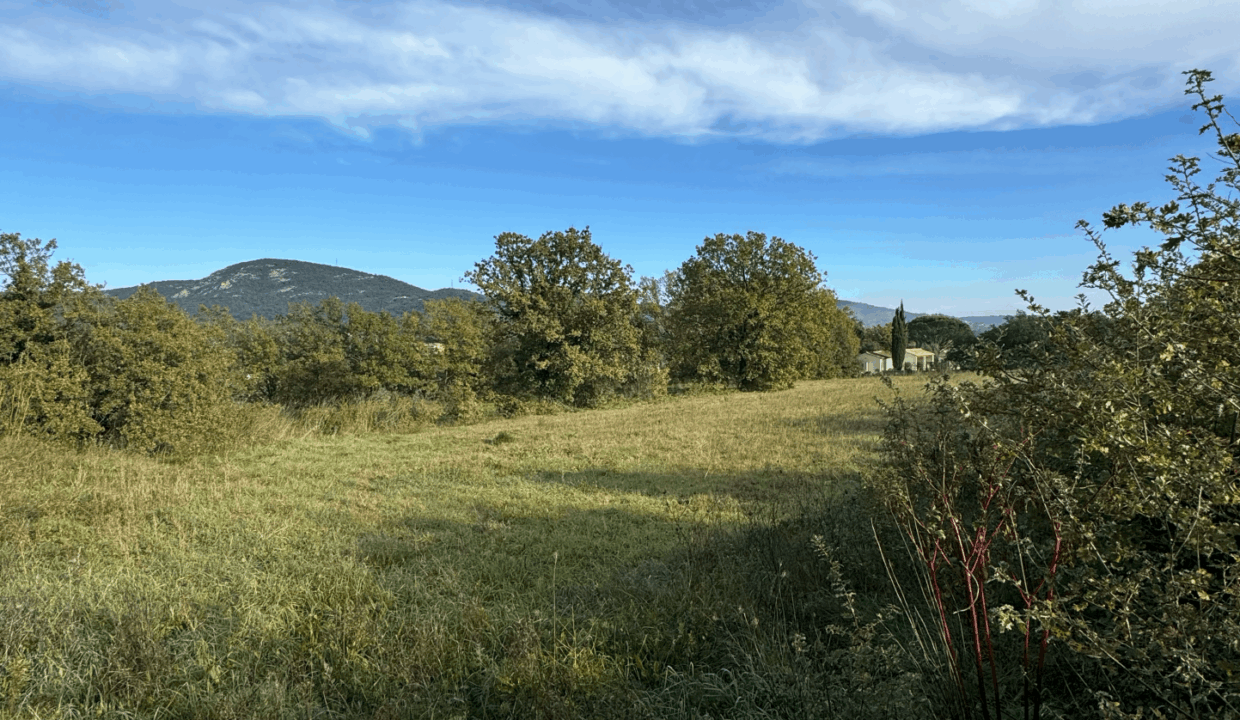 immobilier-saint-tropez.jpg