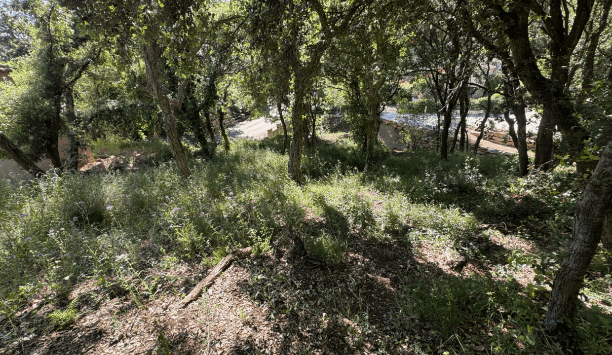 immobilier-saint-tropez.jpg-3