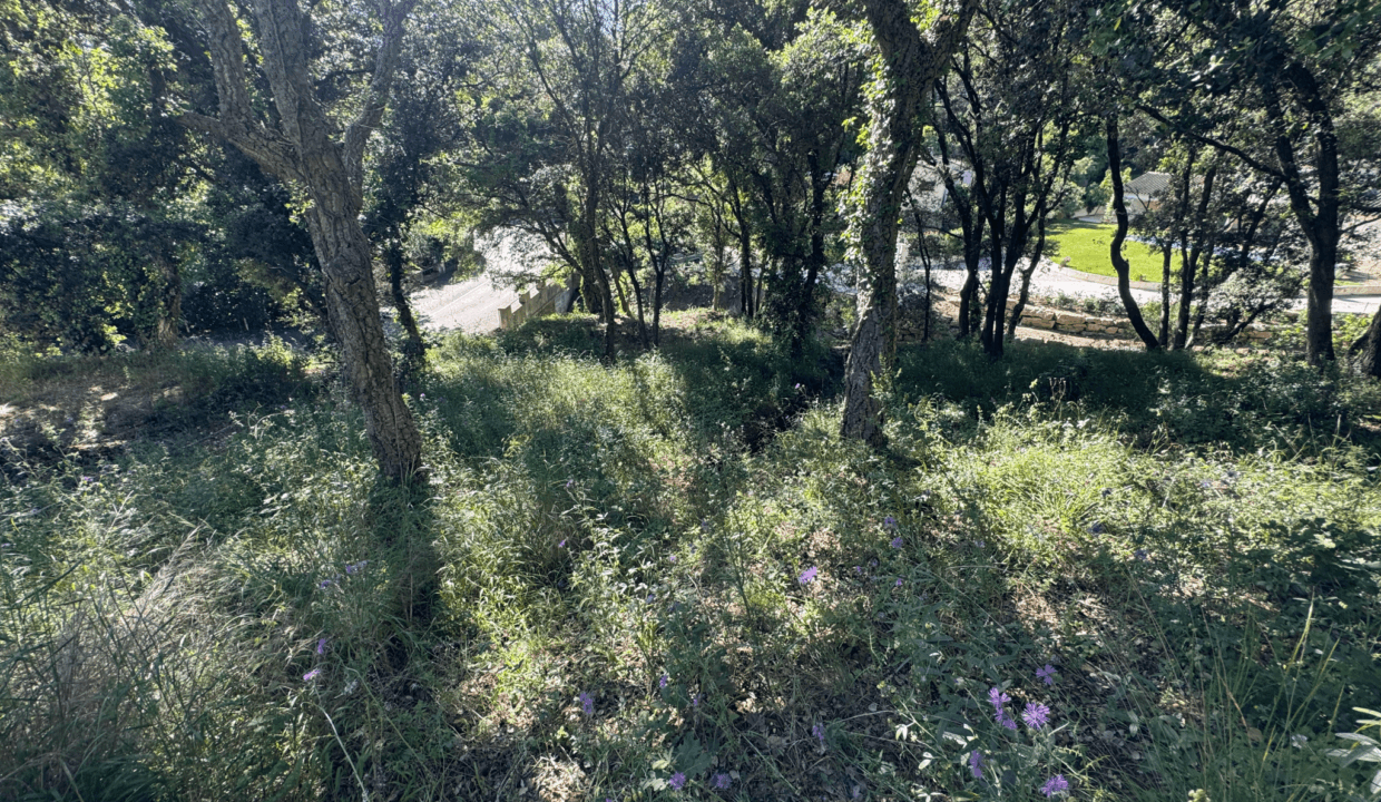 immobilier-saint-tropez.jpg-1