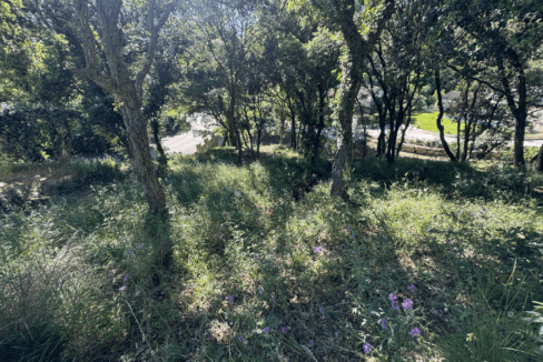 immobilier-saint-tropez.jpg-1